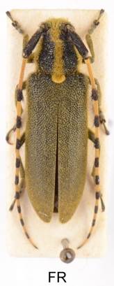 EAA_8598  intern..jpg