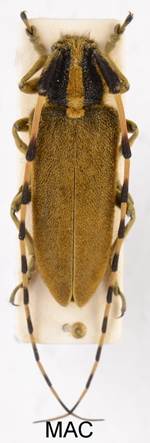 EAA_8568  INTERN..jpg